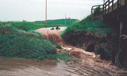 Runoff from an Iowa farm pouring into a stream